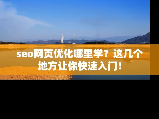 seo网页优化哪里学？这几个地方让你快速入门！