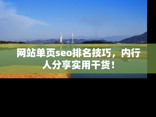 网站单页seo排名技巧，内行人分享实用干货！