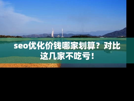 seo优化价钱哪家划算？对比这几家不吃亏！