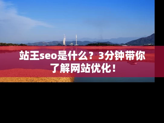 站王seo是什么？3分钟带你了解网站优化！