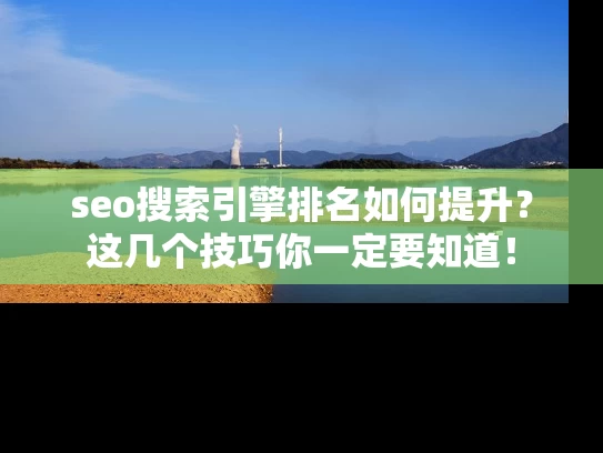seo搜索引擎排名如何提升？这几个技巧你一定要知道！