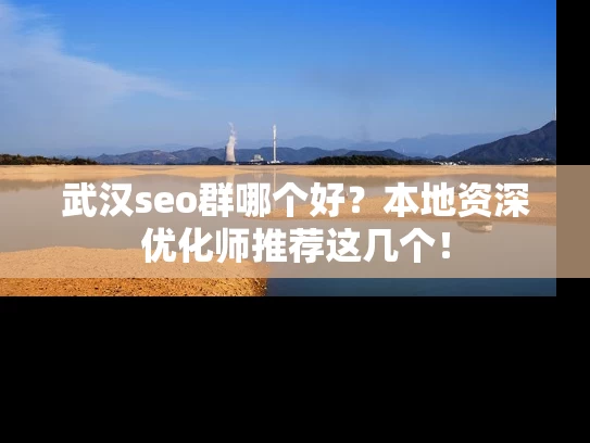 武汉seo群哪个好？本地资深优化师推荐这几个！