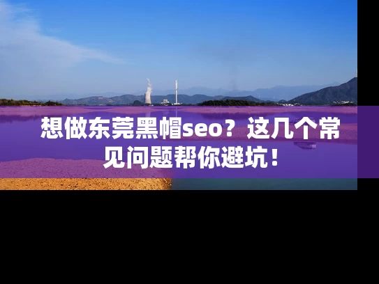 想做东莞黑帽seo？这几个常见问题帮你避坑！