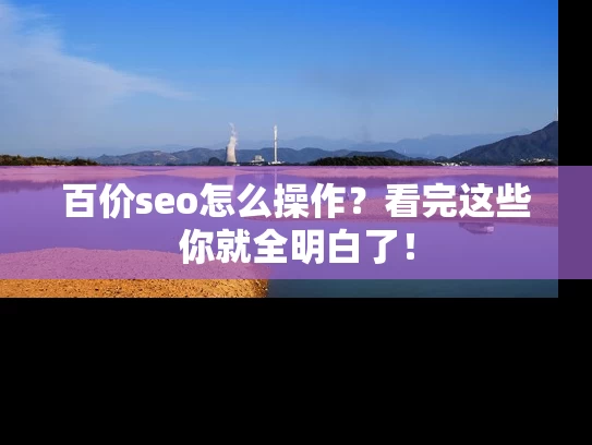 百价seo怎么操作？看完这些你就全明白了！