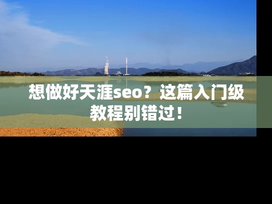 想做好天涯seo？这篇入门级教程别错过！