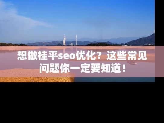 想做桂平seo优化？这些常见问题你一定要知道！