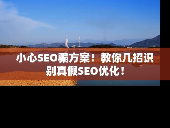 小心SEO骗方案！教你几招识别真假SEO优化！