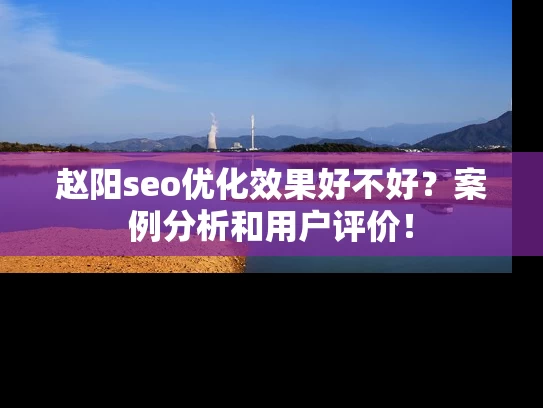 赵阳seo优化效果好不好？案例分析和用户评价！
