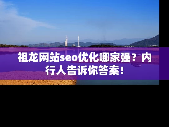 祖龙网站seo优化哪家强？内行人告诉你答案！