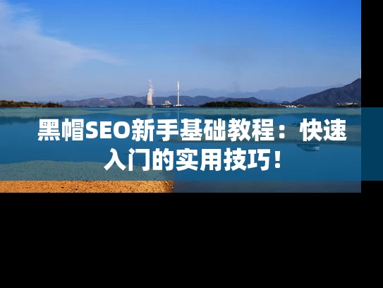 黑帽SEO新手基础教程：快速入门的实用技巧！