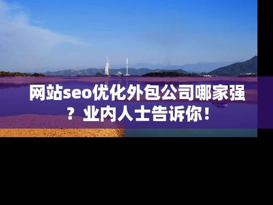 网站seo优化外包公司哪家强？业内人士告诉你！