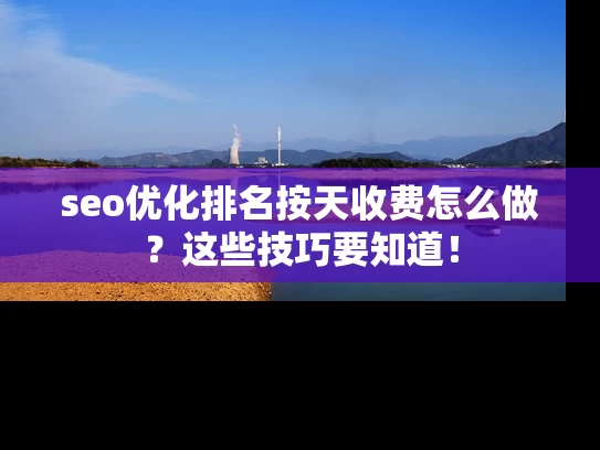 seo优化排名按天收费怎么做？这些技巧要知道！