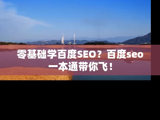 零基础学百度SEO？百度seo一本通带你飞！