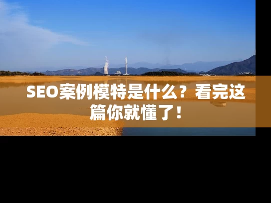 SEO案例模特是什么？看完这篇你就懂了！