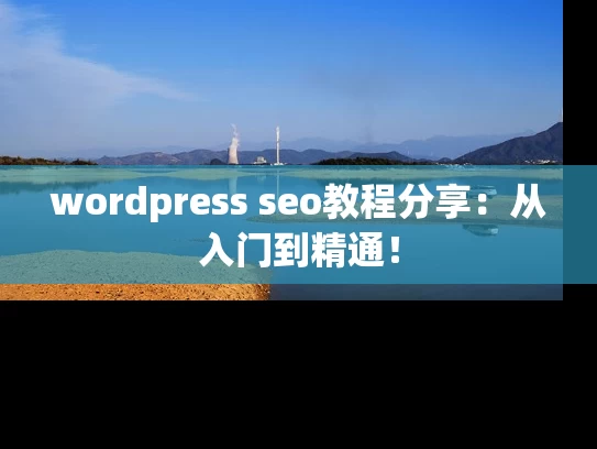 wordpress seo教程分享：从入门到精通！