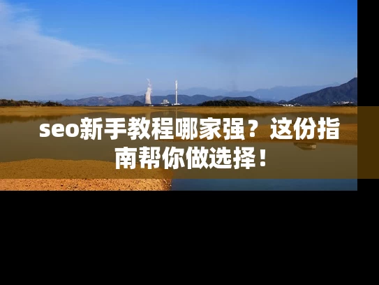 seo新手教程哪家强？这份指南帮你做选择！