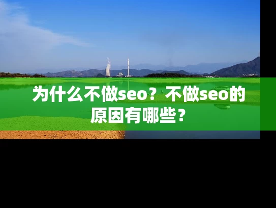 为什么不做seo？不做seo的原因有哪些？
