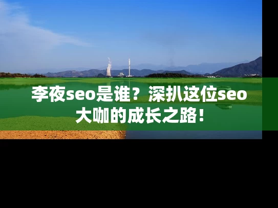 李夜seo是谁？深扒这位seo大咖的成长之路！