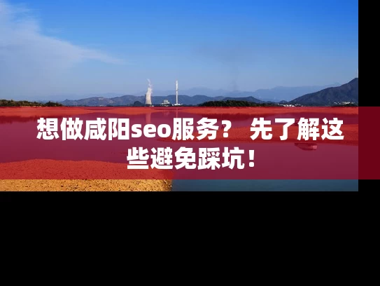 想做咸阳seo服务？ 先了解这些避免踩坑！