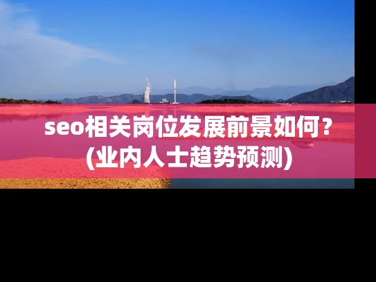 seo相关岗位发展前景如何？(业内人士趋势预测)