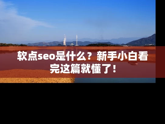 软点seo是什么？新手小白看完这篇就懂了！