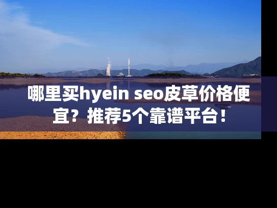 哪里买hyein seo皮草价格便宜？推荐5个靠谱平台！