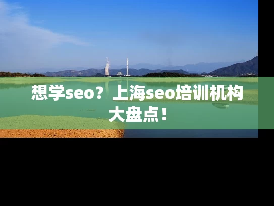 想学seo？上海seo培训机构大盘点！