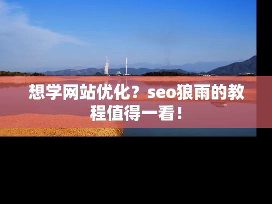 想学网站优化？seo狼雨的教程值得一看！