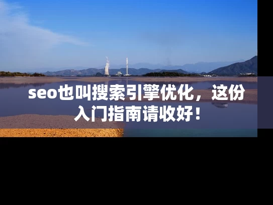 seo也叫搜索引擎优化，这份入门指南请收好！