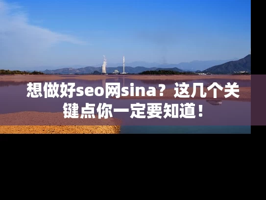 想做好seo网sina？这几个关键点你一定要知道！