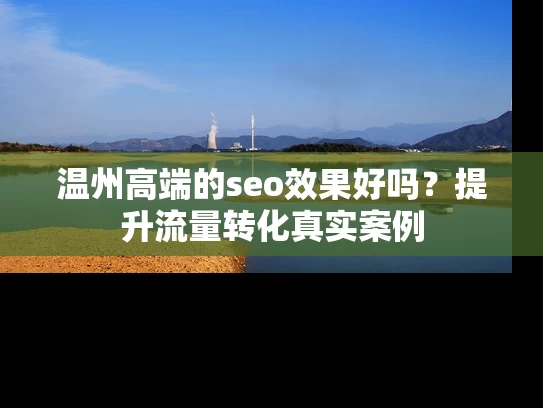 温州高端的seo效果好吗？提升流量转化真实案例