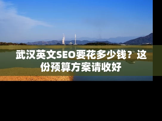 武汉英文SEO要花多少钱？这份预算方案请收好