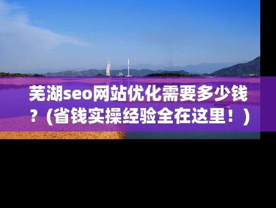 芜湖seo网站优化需要多少钱？(省钱实操经验全在这里！)