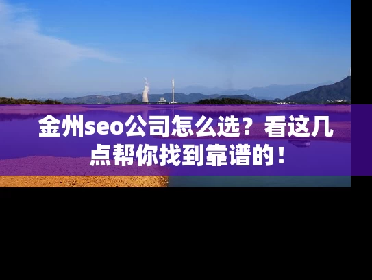 金州seo公司怎么选？看这几点帮你找到靠谱的！