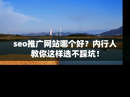 seo推广网站哪个好？内行人教你这样选不踩坑！