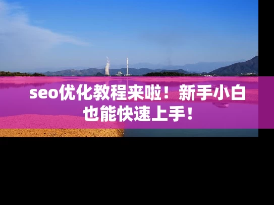 seo优化教程来啦！新手小白也能快速上手！