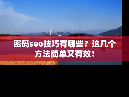 密码seo技巧有哪些？这几个方法简单又有效！