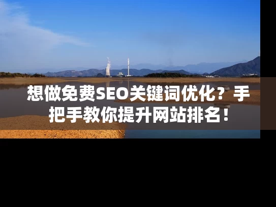 想做免费SEO关键词优化？手把手教你提升网站排名！