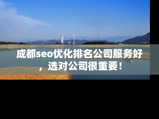 成都seo优化排名公司服务好，选对公司很重要！