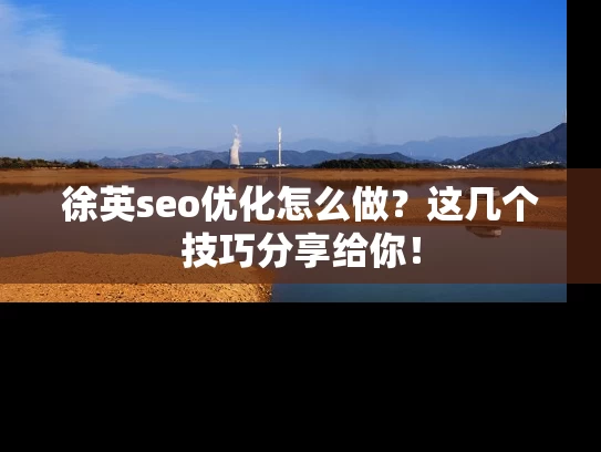 徐英seo优化怎么做？这几个技巧分享给你！