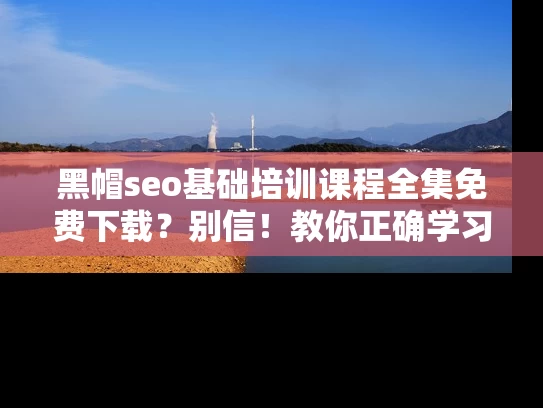 黑帽seo基础培训课程全集免费下载？别信！教你正确学习方法！