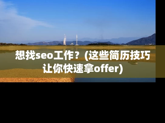 想找seo工作？(这些简历技巧让你快速拿offer)