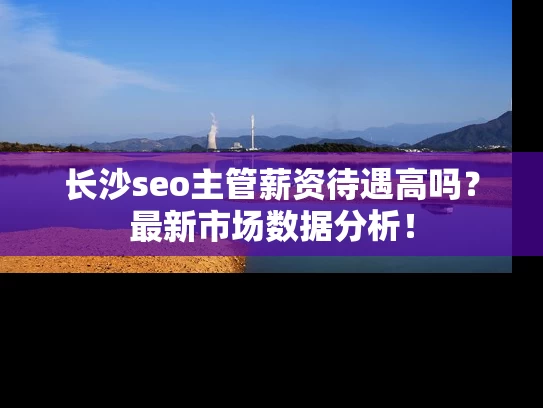 长沙seo主管薪资待遇高吗？最新市场数据分析！