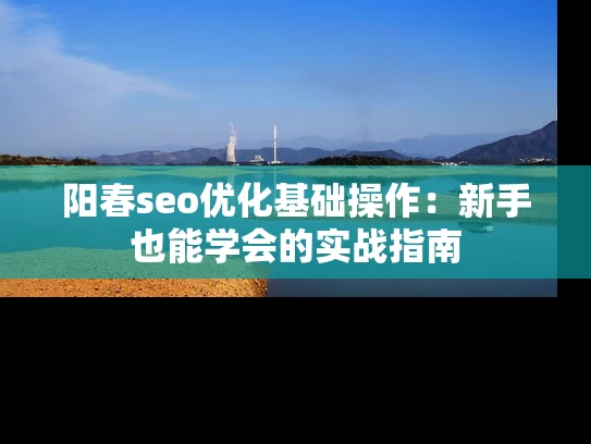 阳春seo优化基础操作：新手也能学会的实战指南
