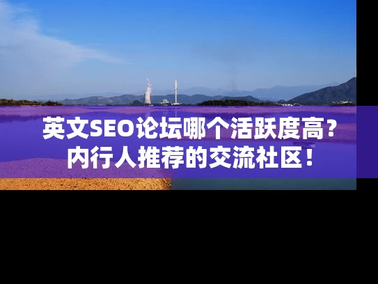 英文SEO论坛哪个活跃度高？内行人推荐的交流社区！
