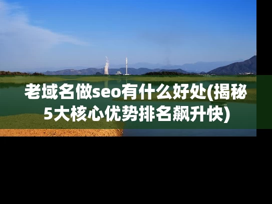 老域名做seo有什么好处(揭秘5大核心优势排名飙升快)