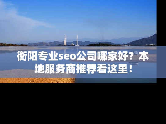 衡阳专业seo公司哪家好？本地服务商推荐看这里！