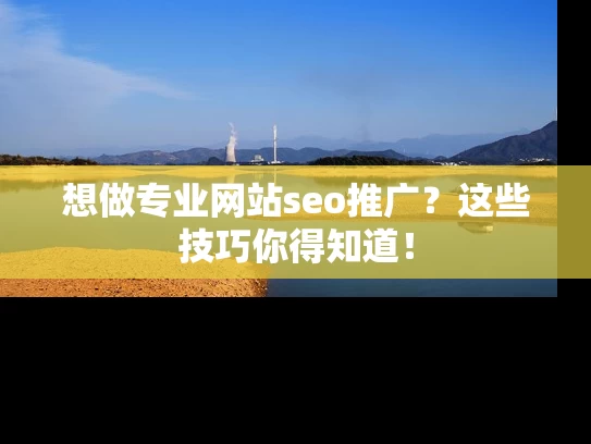 想做专业网站seo推广？这些技巧你得知道！