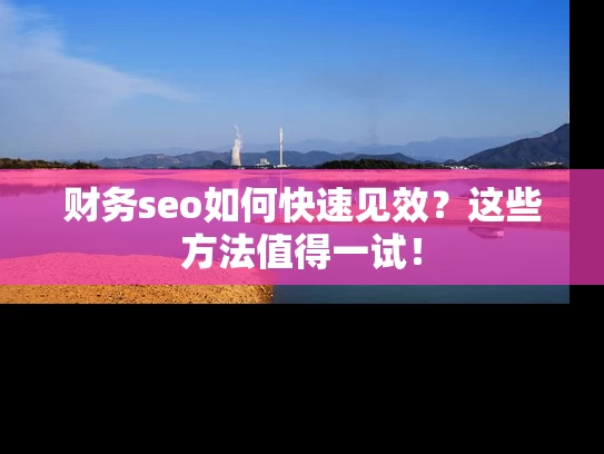 财务seo如何快速见效？这些方法值得一试！