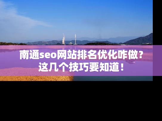 南通seo网站排名优化咋做？这几个技巧要知道！